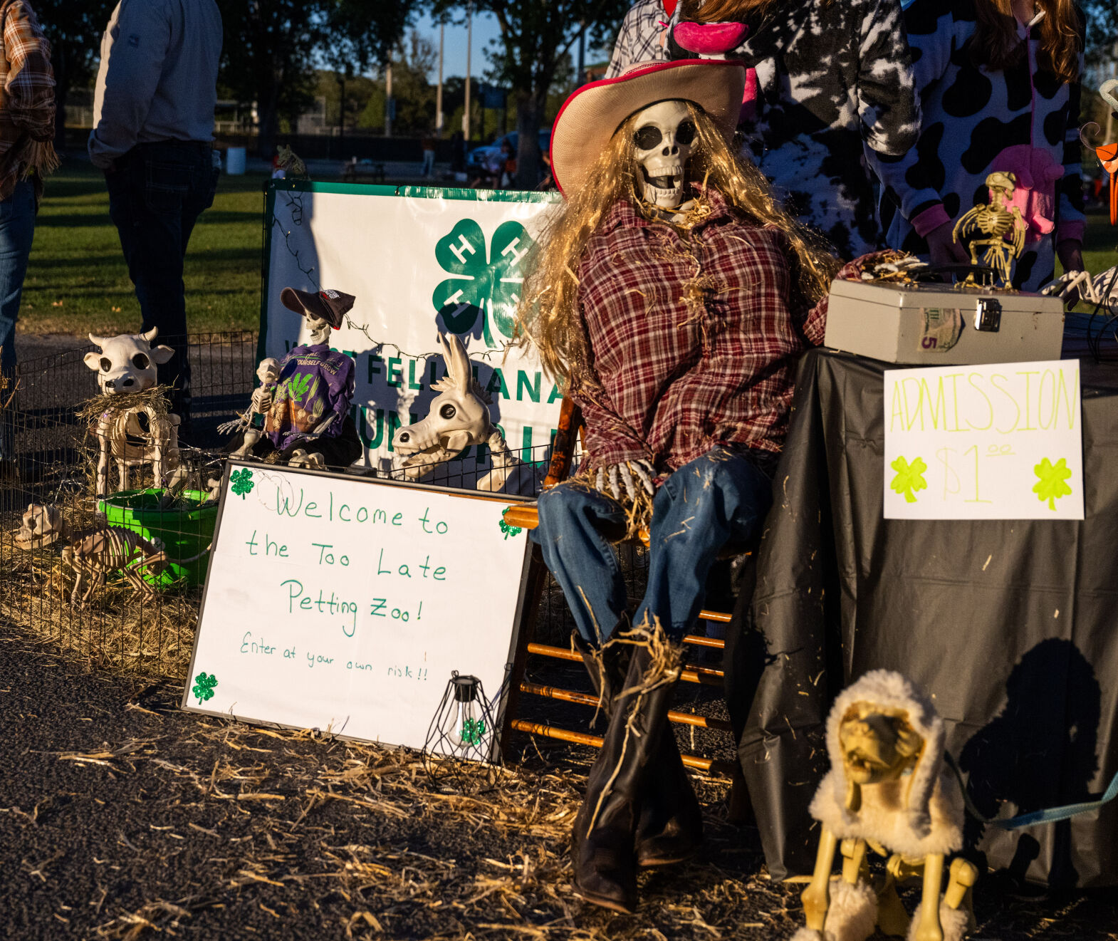 BR.wftrunktreatxtra.102324_7298 MJ.JPG